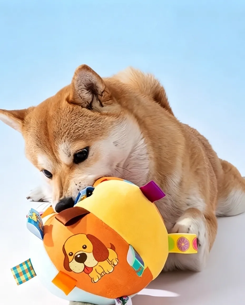 /upload/image/max/20260626/178246029659.webp