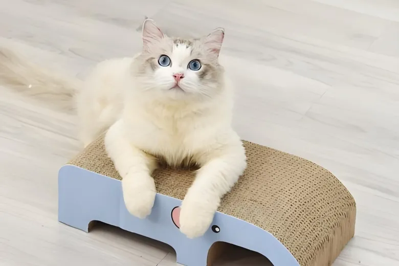 How to Clean and Maintain Your Pet's Toys